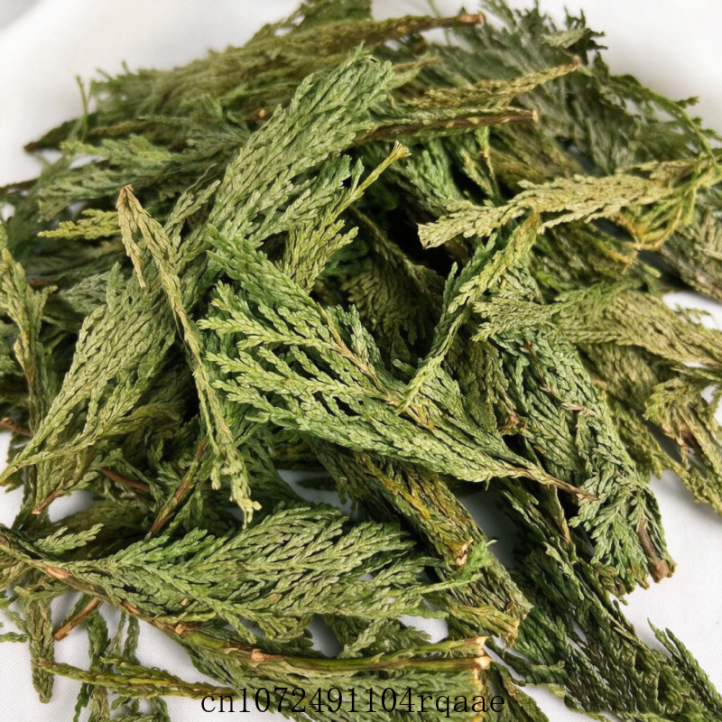 Suszone gałązki białej szałwii – Dried Herbs recenzja i cena